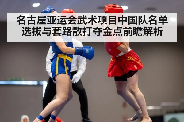 wushu martial arts competition